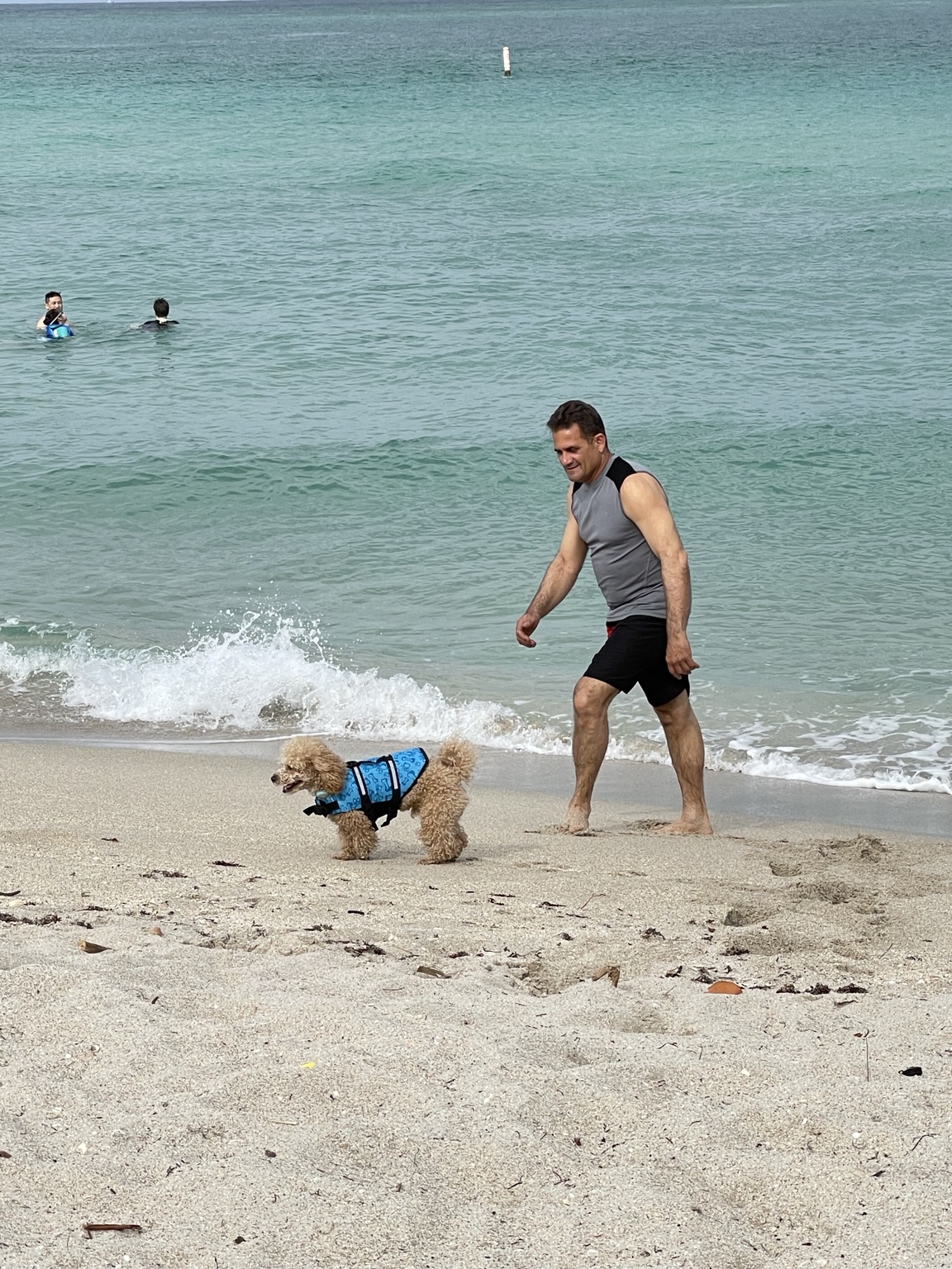 Muppy at the beach with family